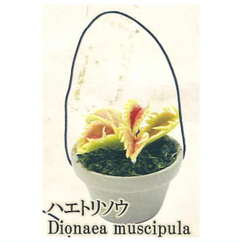 日本レインボーガチャポンカプセルトイ食品虫植物鉢植えミニチュ - Capsule Toy Gashapon のレビューと価格